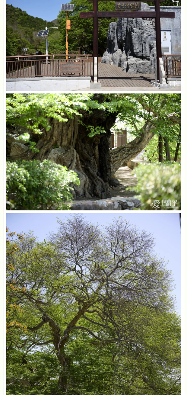 ��ƽ4���������������� �� ����ǧ��ż����ʱ������_0012_ͼ�� 13.jpg